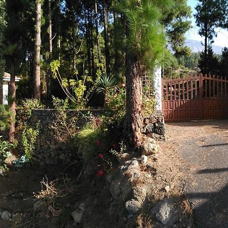 イコー・デ・ロス・ビノス Floral Garden Houseヴィラ エクステリア 写真