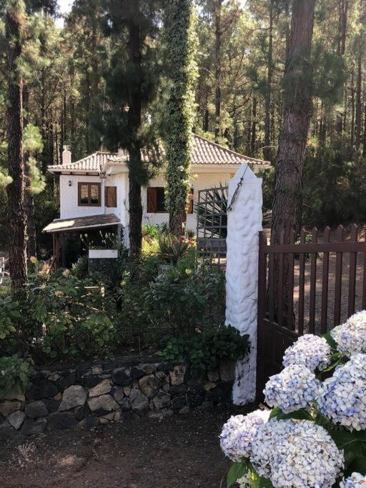 イコー・デ・ロス・ビノス Floral Garden Houseヴィラ エクステリア 写真