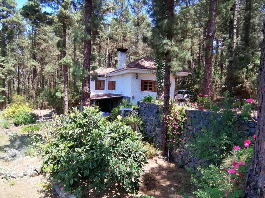 イコー・デ・ロス・ビノス Floral Garden Houseヴィラ エクステリア 写真