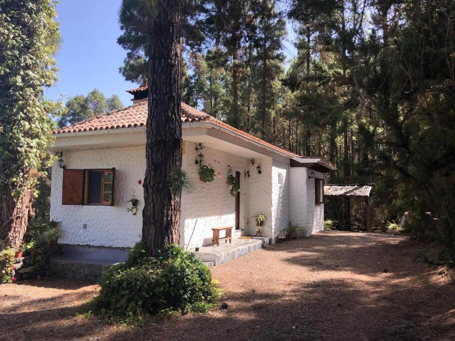 イコー・デ・ロス・ビノス Floral Garden Houseヴィラ エクステリア 写真