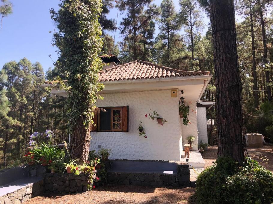 イコー・デ・ロス・ビノス Floral Garden Houseヴィラ エクステリア 写真